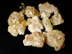 frankincense_publicdomain-wiki-snotch-72